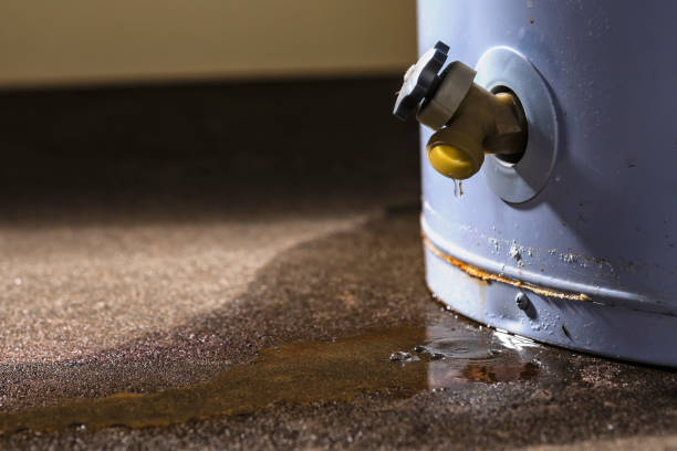 Best 24/7 water damage repair  in Franklin Park, FL