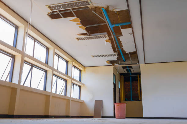Best Basement water damage restoration  in Franklin Park, FL