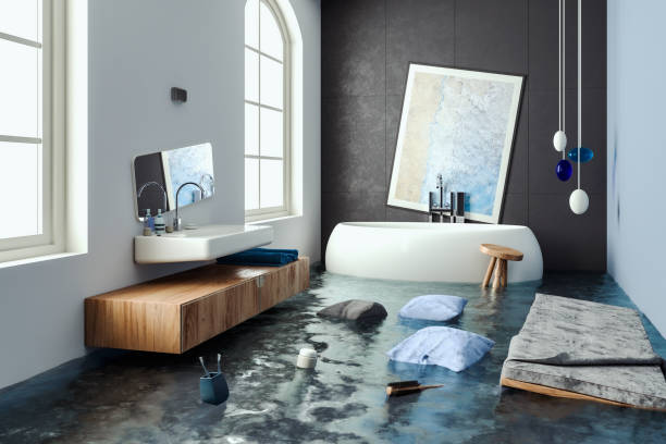 Best Water damage restoration near me  in Franklin Park, FL