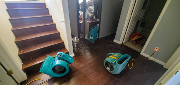 Best Flood damage cleanup  in Franklin Park, FL