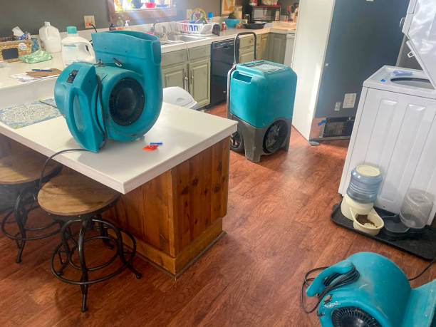 Best Water damage restoration near me  in Franklin Park, FL