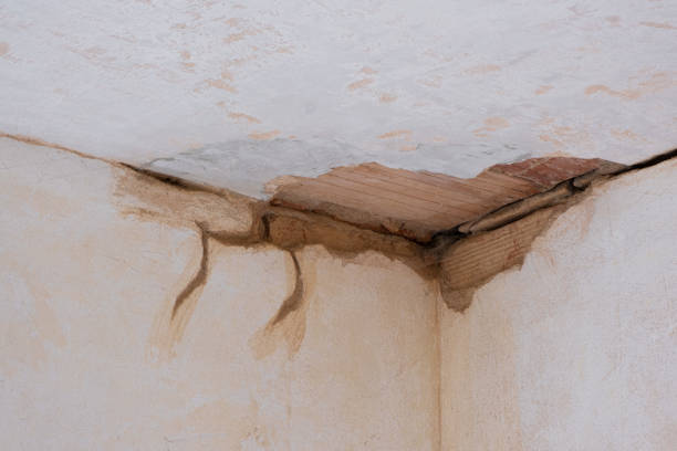 Best Flooded house restoration  in Franklin Park, FL