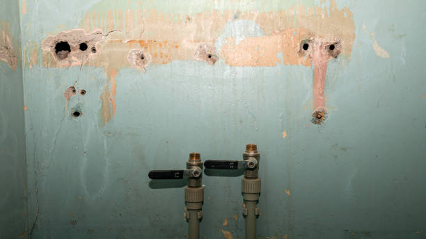 Best Residential water damage restoration  in Franklin Park, FL