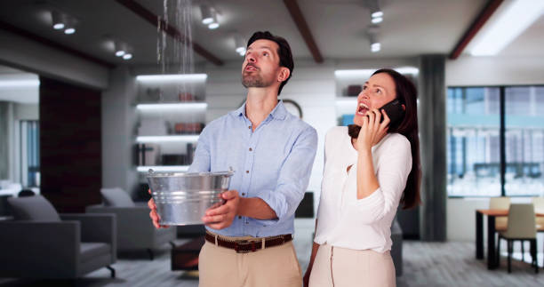 Best Flood damage cleanup  in Franklin Park, FL